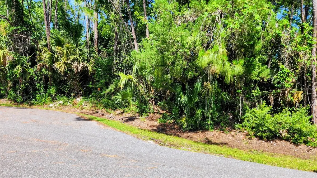 6 Rybar Place, Palm Coast, FL 32164 - #1