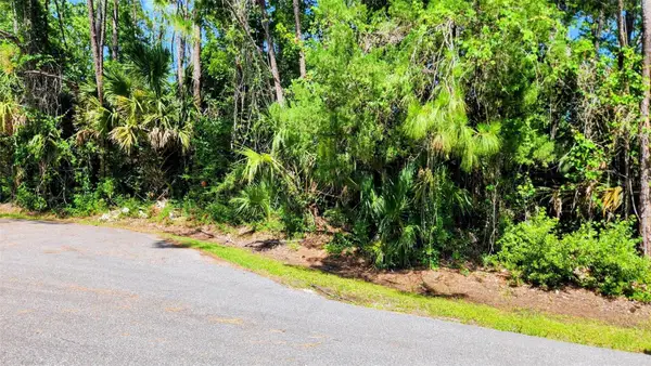 6 Rybar Place, PALM COAST, FL 32164
