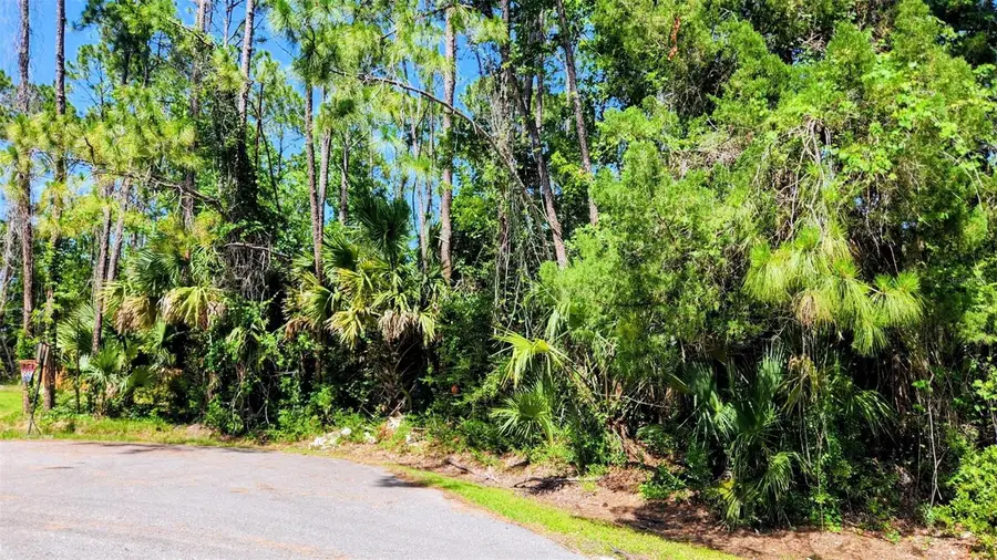 6 Rybar Place, Palm Coast, FL 32164 - #2