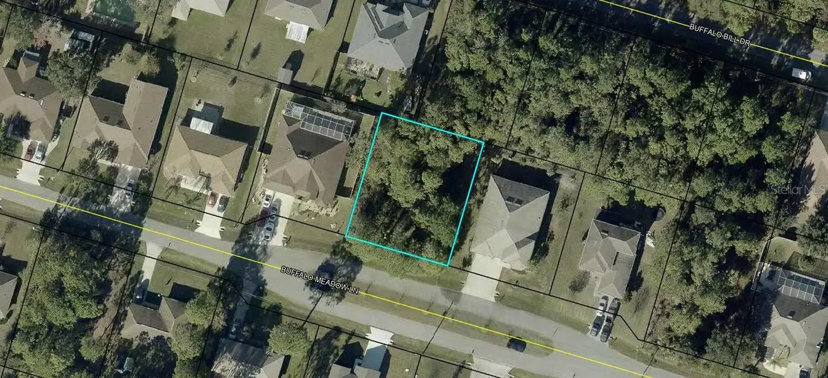 16 Buffalo Meadow Lane, Palm Coast, FL 32137 - #1