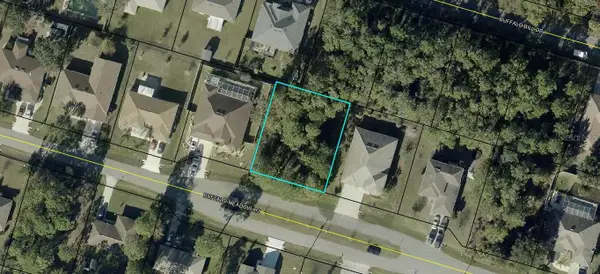 16 Buffalo Meadow Lane, PALM COAST, FL 32137