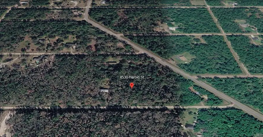 4530 Harold Street, Hastings, FL 32145 - #3