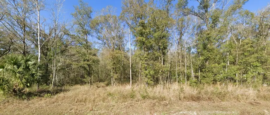 4720 Jonathan Street, Hastings, FL 32145 - #2