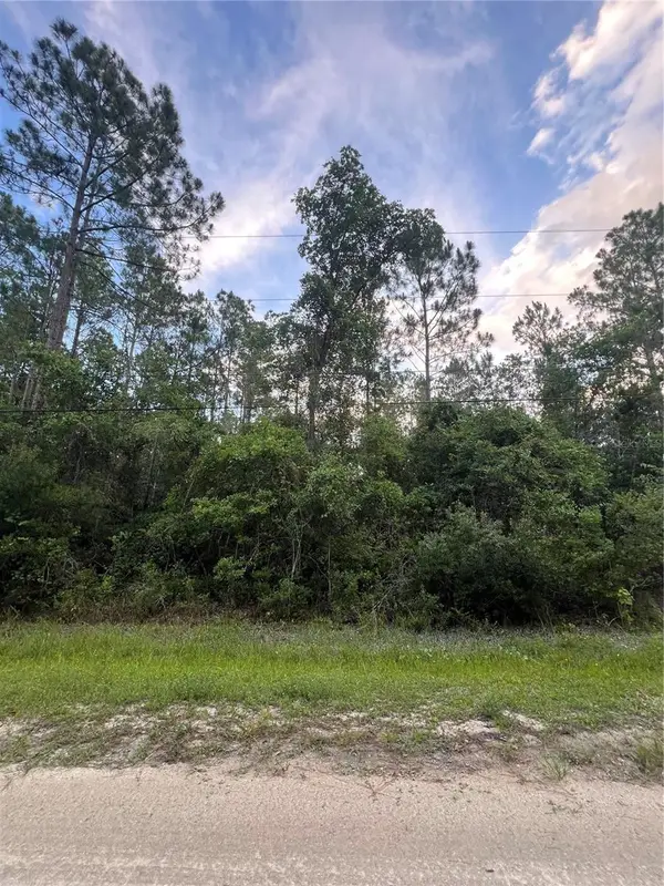 1411 Elder Street, BUNNELL, FL 32110