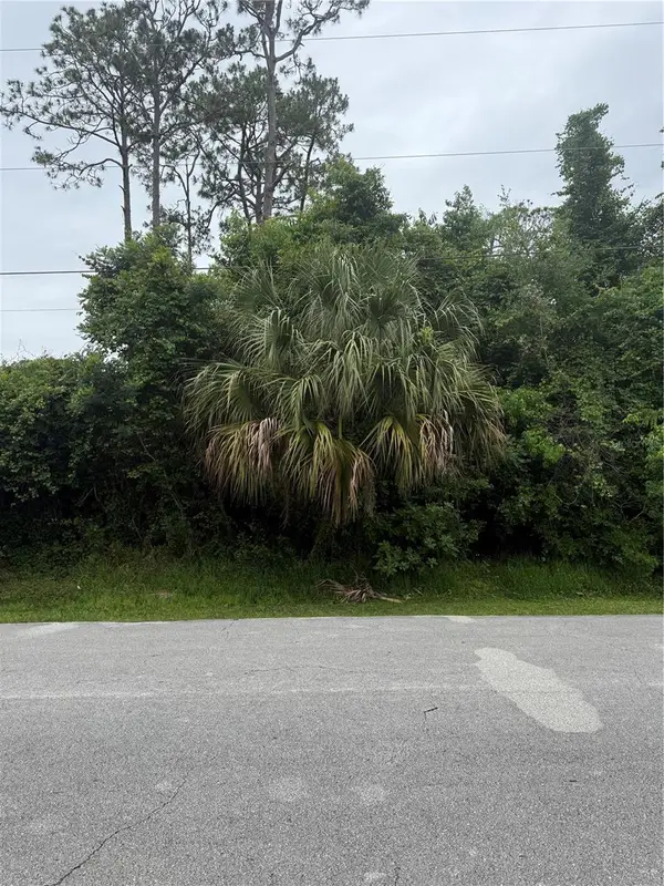 38 Squash Blossom Trail, PALM COAST, FL 32164