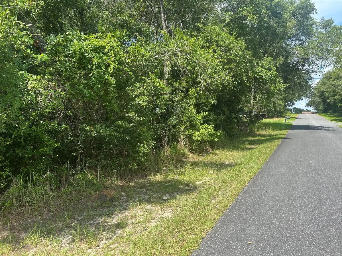 3118 E Deal Street, Inverness, FL 34453 - #1