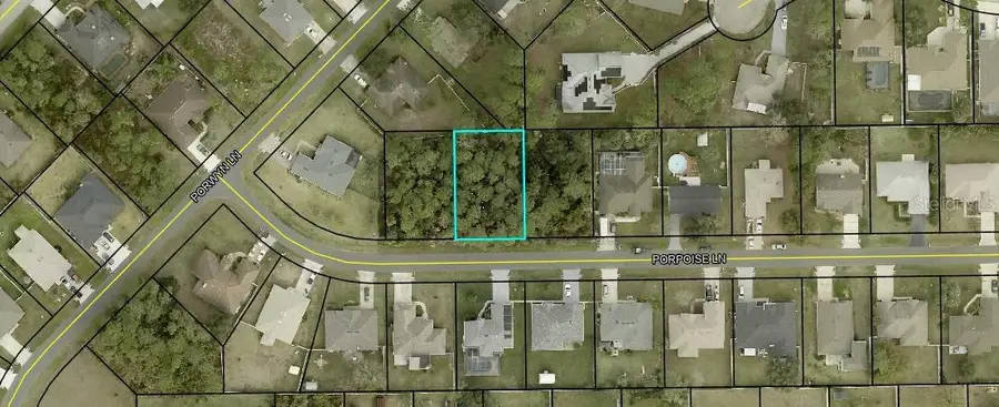 5 Porpoise Lane, Palm Coast, FL 32164 - #2