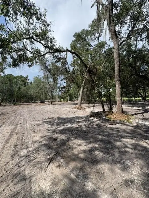 County Road 309, Crescent City, FL 32112 - #3
