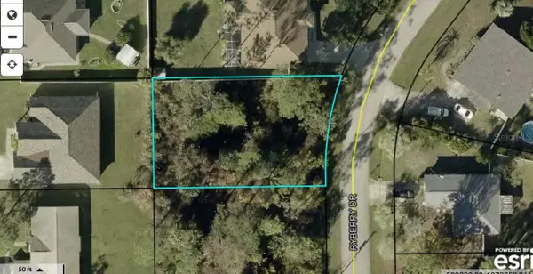 4 Ryberry Drive, PALM COAST, FL 32164