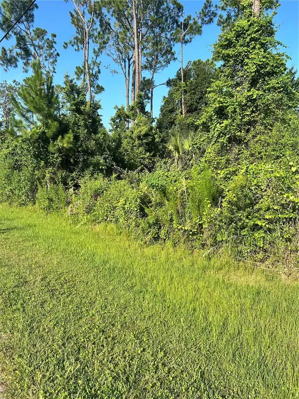 6 Ryberry Drive, PALM COAST, FL 32164