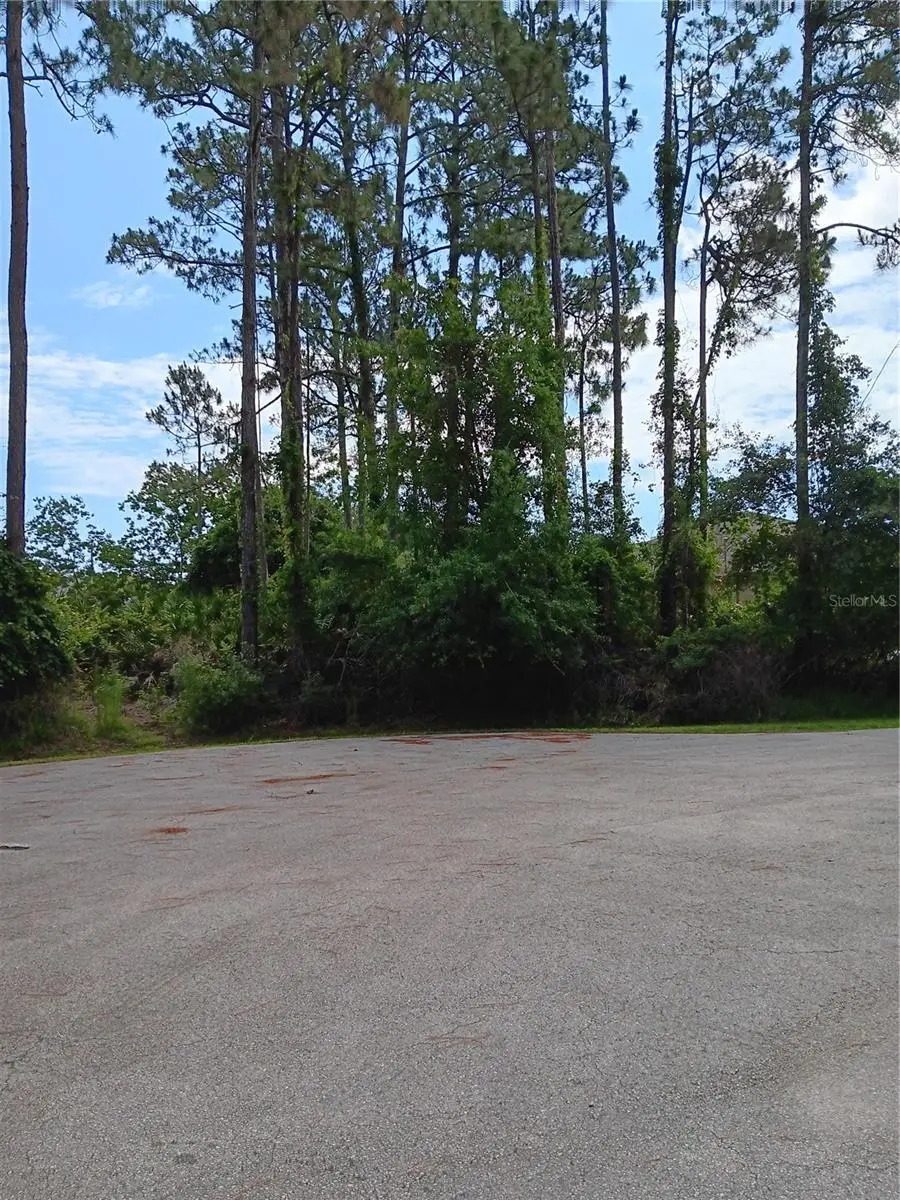 6 Lark Place, Palm Coast, FL 32137 - #2