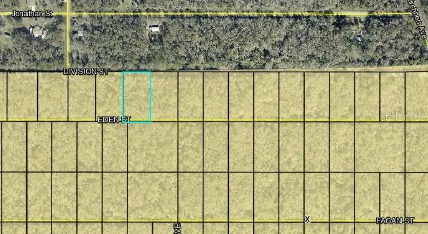 Division Street, Hastings, FL 32145 - #3