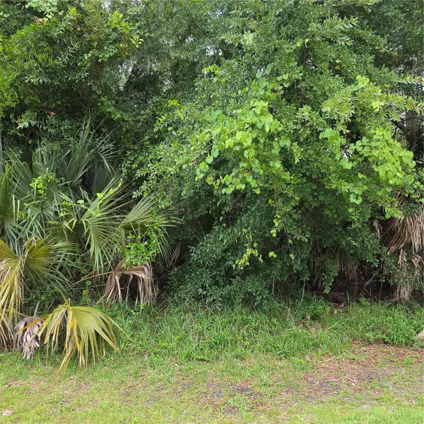 19 Wasserman Drive, PALM COAST, FL 32164