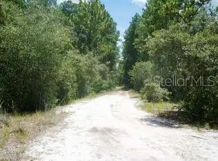 148 Arden Street, Georgetown, FL 32139 - #1