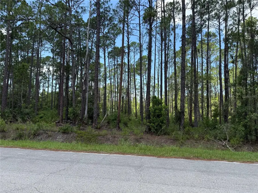 2914 Avocado Boulevard, Bunnell, FL 32110 - #2