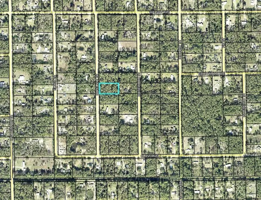 2185 Hazelnut Street, Bunnell, FL 32110 - #2