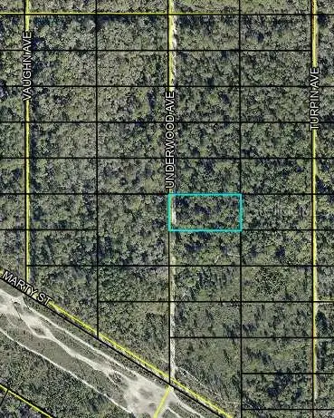 Underwood, Hastings, FL 32145 - #2