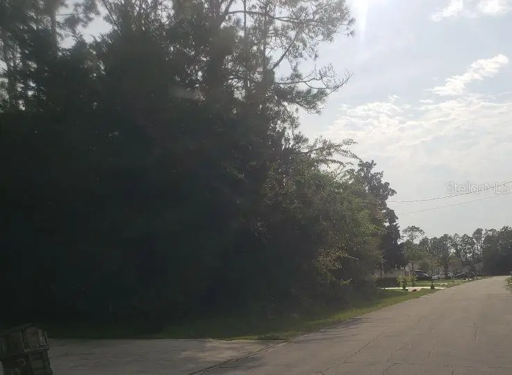 74 Randolph Drive, Palm Coast, FL 32164 - #1