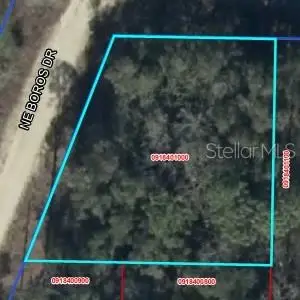 0 Ne 11th Street, Williston, FL 32696 - #2