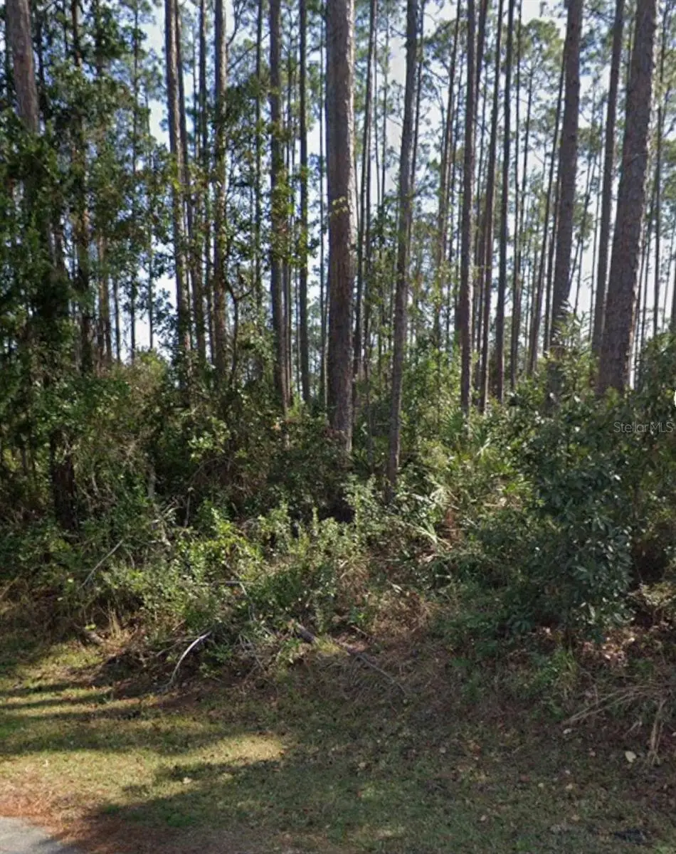 21 Erickson Place, Palm Coast, FL 32164 - #1