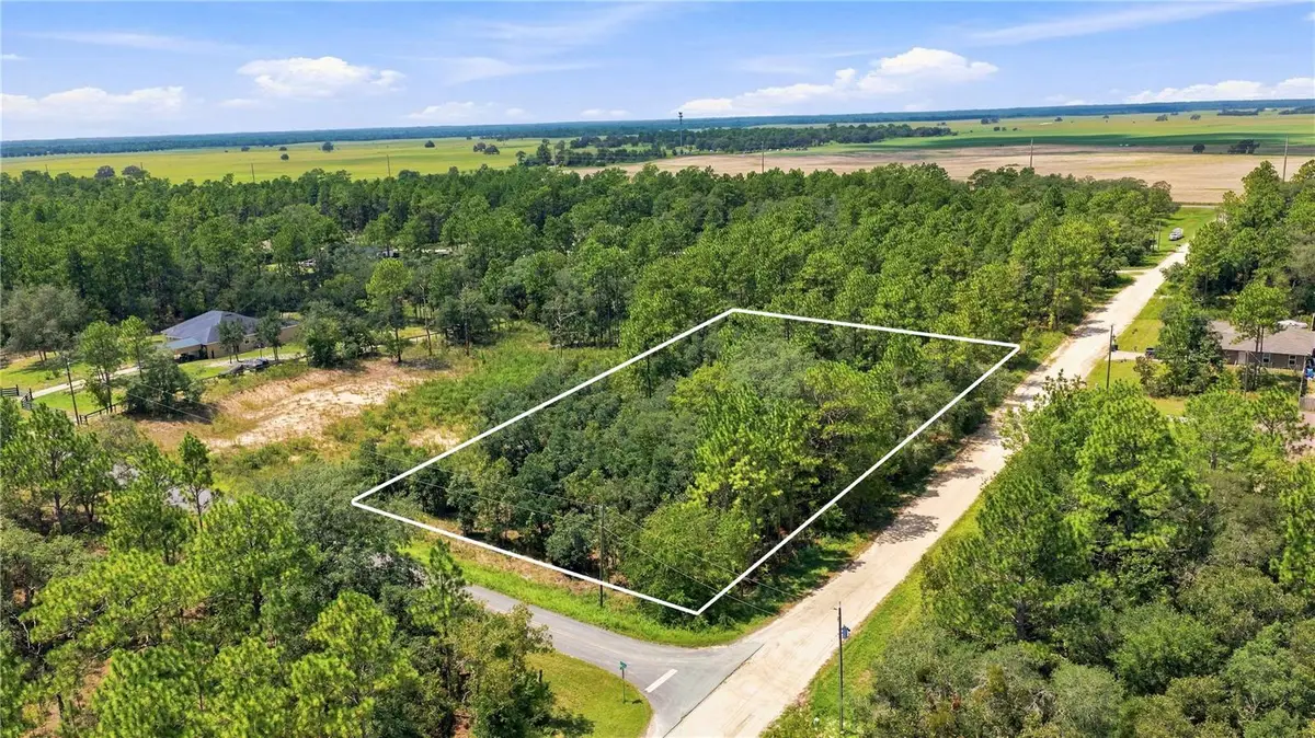 Lot 14 Sw 81 St. & Sw 137th Ct., Dunnellon, FL 34432 - #1