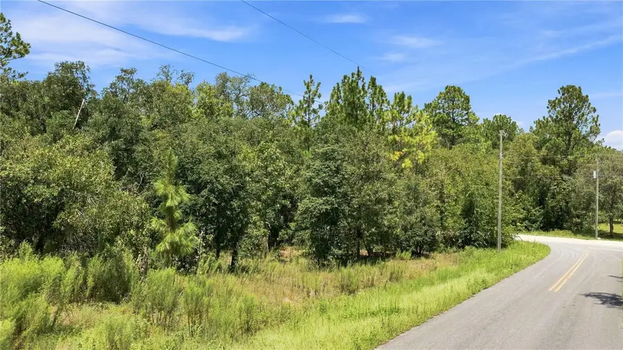 Lot 14 Sw 81 St. & Sw 137th Ct., Dunnellon, FL 34432 - #3