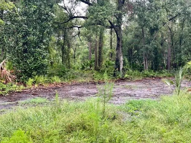 xxx Water Oak Road, Bunnell, FL 32110 - #3