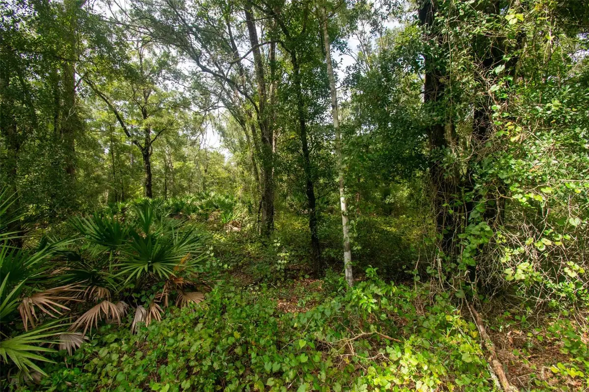 4730 Palatka Boulevard, Hastings, FL 32145 - #1