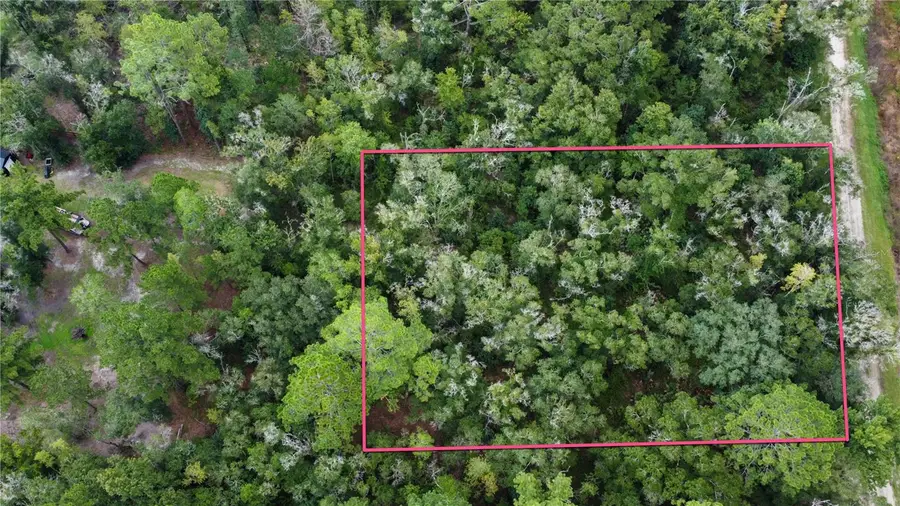 4730 Palatka Boulevard, Hastings, FL 32145 - #2