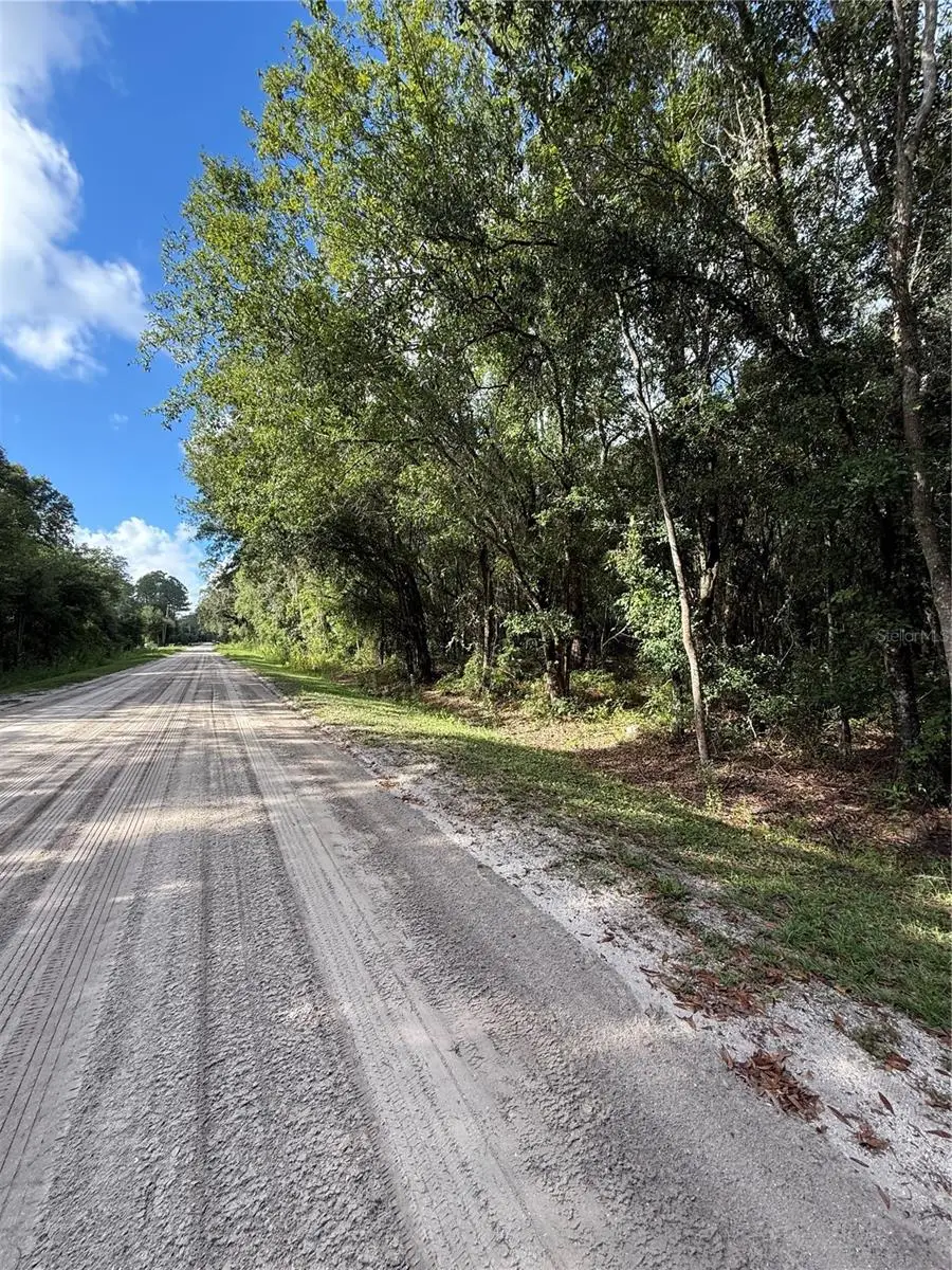 1166 Honeytree Street, Bunnell, FL 32110 - #1