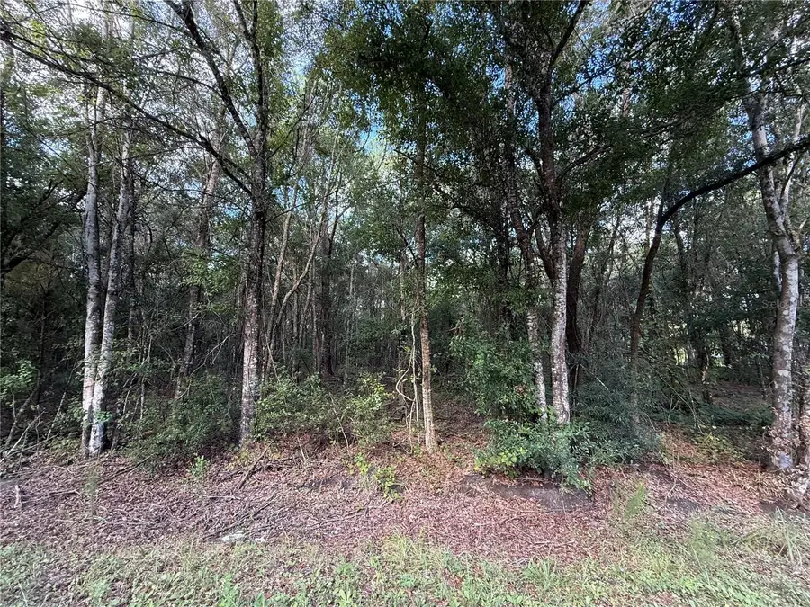 1166 Honeytree Street, Bunnell, FL 32110 - #3
