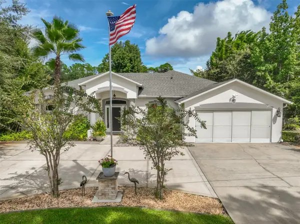 1 Pillory Lane, PALM COAST, FL 32164