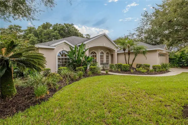 3626 Mallow Drive, ORMOND BEACH, FL 32174