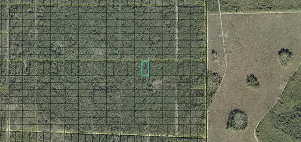 XXX Donna Street, HASTINGS, FL 32145