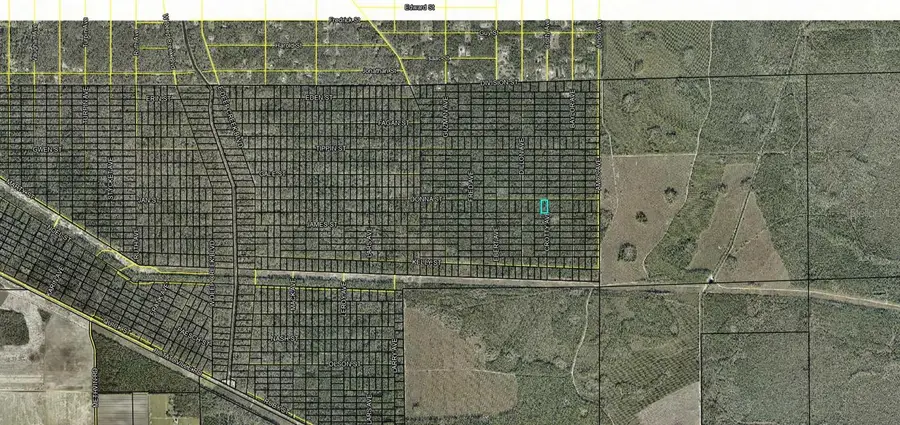 XXX Donna Street, Hastings, FL 32145 - #2