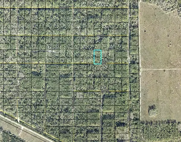 LT 1013 Olson Street, HASTINGS, FL 32145