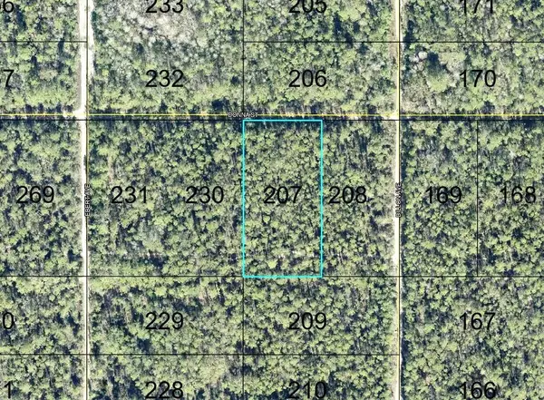 207 Donna Street, HASTINGS, FL 32145