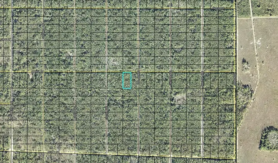 207 Donna Street, Hastings, FL 32145 - #2