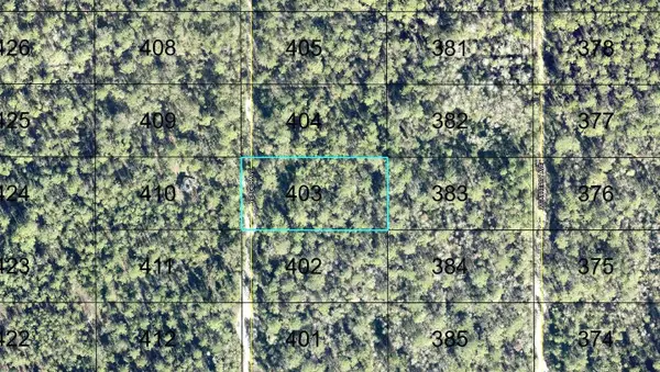 403 Yeager Avenue, HASTINGS, FL 32145