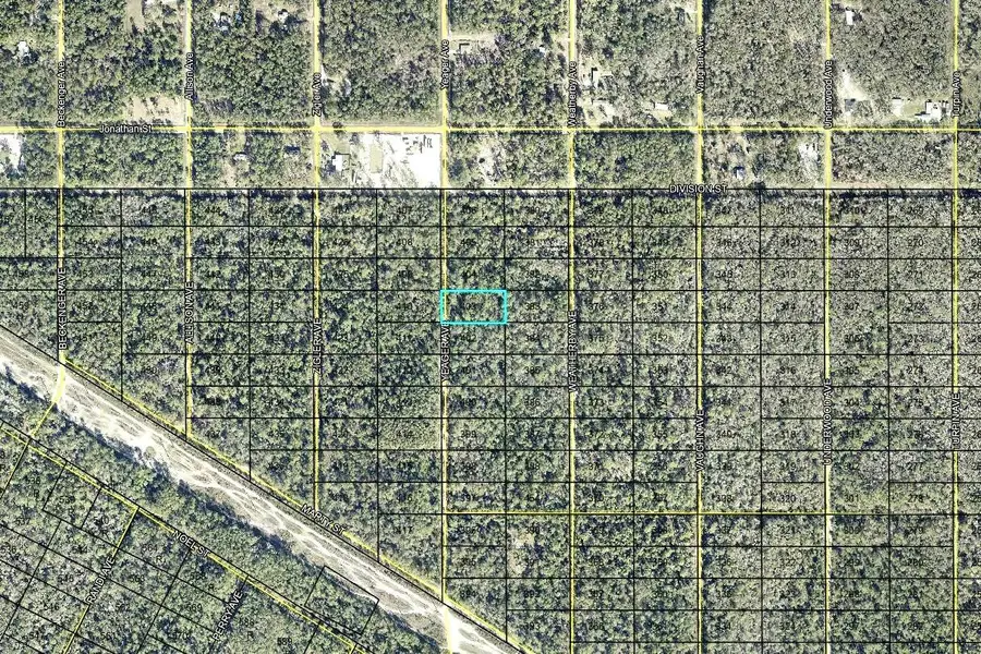 403 Yeager Avenue, Hastings, FL 32145 - #2