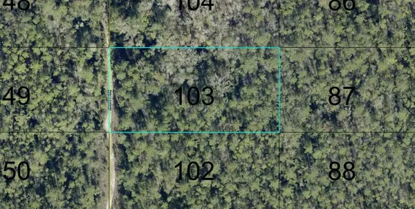 103 Crotty Street, HASTINGS, FL 32145