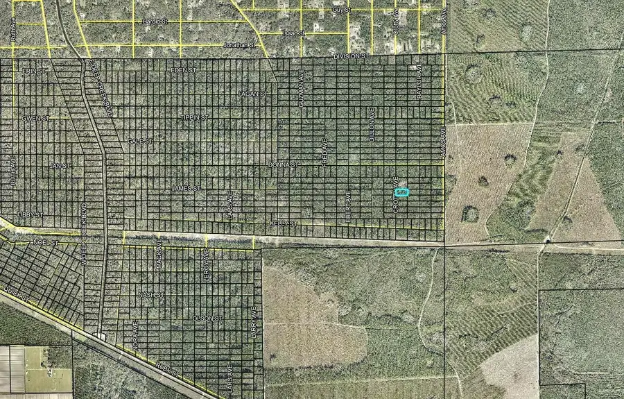 103 Crotty Street, Hastings, FL 32145 - #3