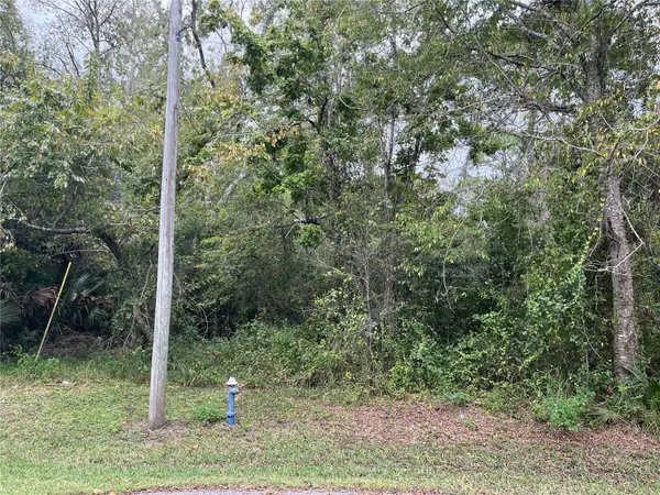 12 Pebbleton Place, PALM COAST, FL 32164
