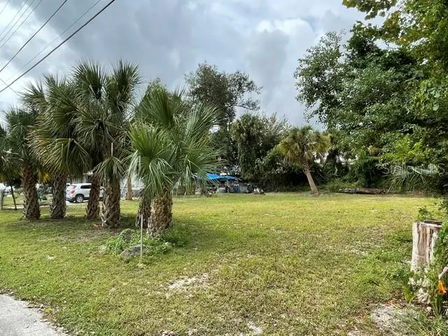 494 Collins Street, Ormond Beach, FL 32174 - #3