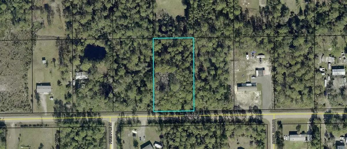 5794 Palm Avenue, Bunnell, FL 32110 - #1