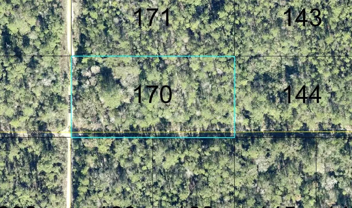 170 Dillon Avenue, Hastings, FL 32145 - #1