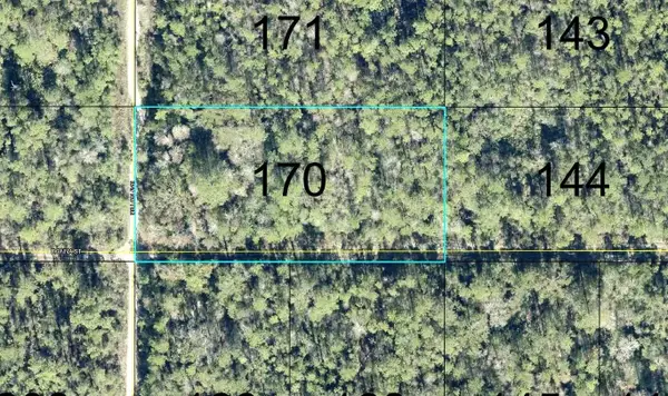 170 Dilllion Avenue, HASTINGS, FL 32145