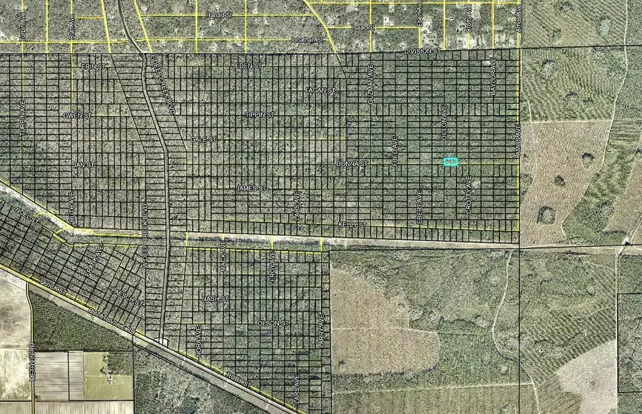 170 Dillon Avenue, Hastings, FL 32145 - #3