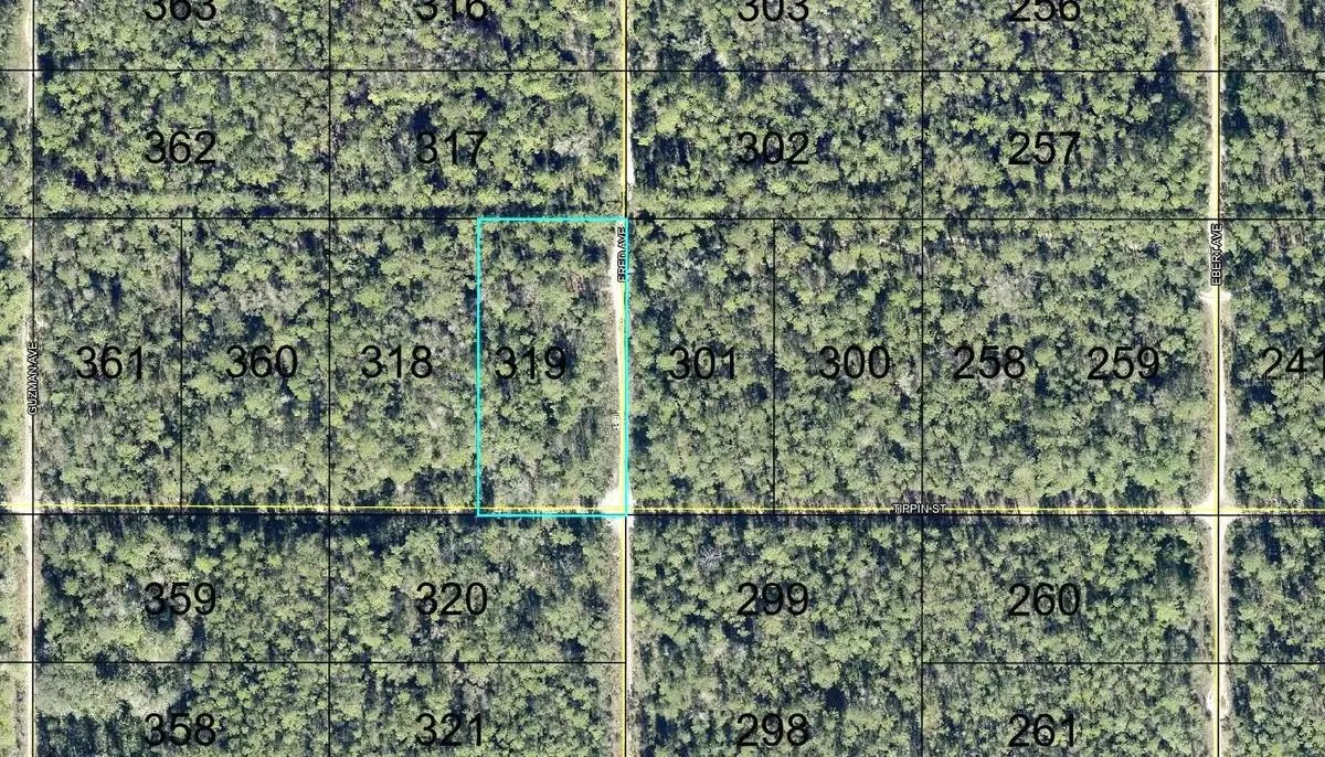 319 Tippin Street, Hastings, FL 32145 - #1