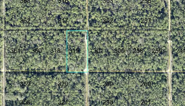 319 Tippin Street, HASTINGS, FL 32145